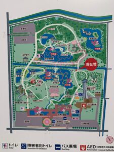 古代蓮の里・敷地Map