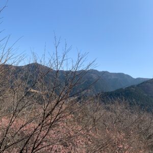 城峯公園の秩父方面の眺め