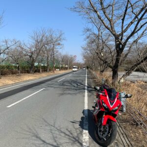 秩父ミューズパークを突っ切るストレートロード