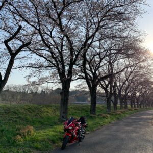 三分咲きの都幾川桜堤にてwith CBR650R