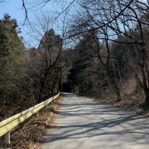 美の山公園に向かう山岳1.5車線にて