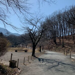 羊山公園内のロード風景