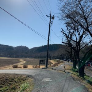 埼玉・巾着田の風景②