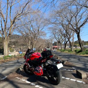 埼玉・巾着田の桜並木の駐車場にてwith CBR650R