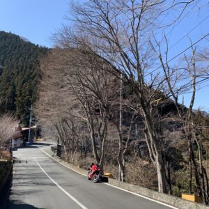 城峯公園入口の開花前の桜ロードにてwith CBR650R