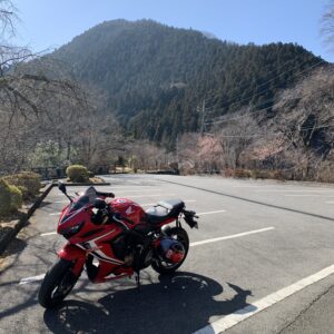 城峯公園の駐車場にて日本の桜と CBR650R