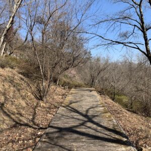 城峯公園内の小道を歩く