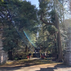 本庄市金鑽神社の落ち着いた雰囲気の境内を歩く