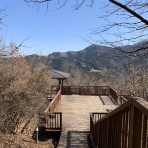 城峯公園の秩父側の展望台からの眺め