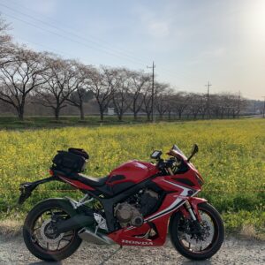 三分咲きの都幾川桜堤にてwith CBR650R②