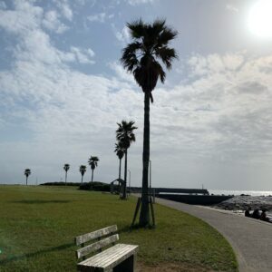 房総半島・外房の名洗港海浜公園にて