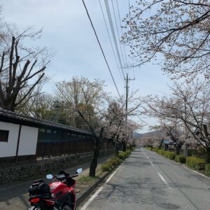 長瀞の南～北桜通りにてwith CBR650R④