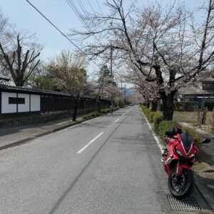 長瀞の南～北桜通りにてwith CBR650R③