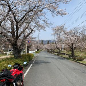 長瀞の南～北桜通りにてwith CBR650R②