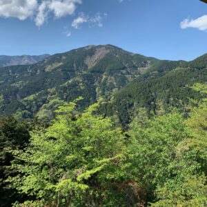 神奈川県秦野市の菜の花台展望台の展望塔からの風景「新緑の丹沢山系」