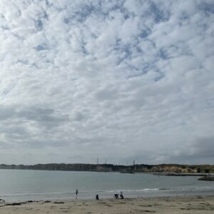 房総半島・外房の名洗港海浜公園からの屛風ヶ浦の眺め
