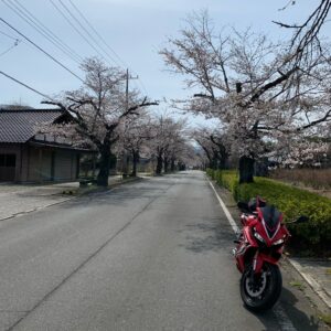 長瀞の南～北桜通りにてwith CBR650R①