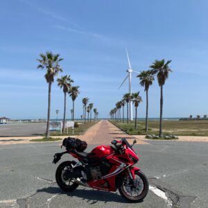 マリンパーク御前崎の椰子の木ロードと風車とCBR650R