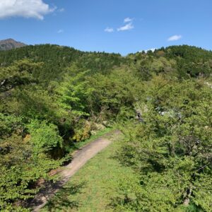 神奈川県秦野市の菜の花台展望台の展望塔からの風景「新緑の山」