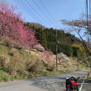 定峰峠からのr11でカラーバリエーション豊かな風景with CBR650R