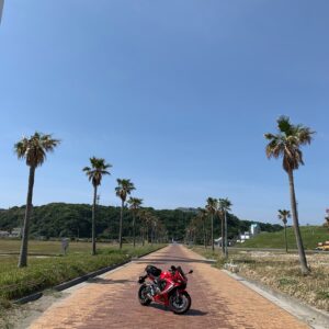 マリンパーク御前崎の椰子の木ロードにてwith CBR650R