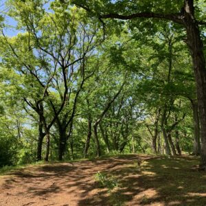 神奈川県秦野市の浅間山散策風景
