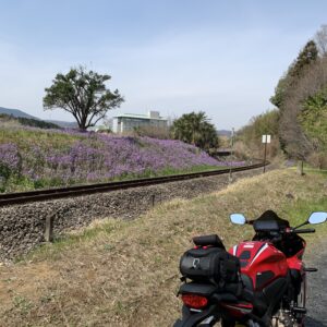 鉢形城公園横を走る八高線沿いの春の風景with CBR650R
