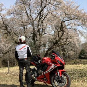 エドヒガンザクラとchizuoと CBR650R
