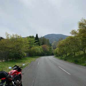 富士山西側に位置する田貫湖沿いの新緑に溢れたロードにて