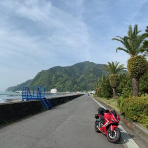 静岡市の海沿い用宗公園の椰子の木ロードにてwith CBR650R