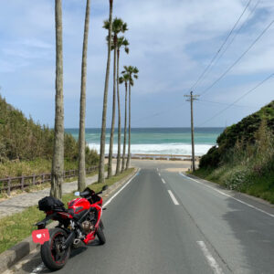 ロングビーチ伊良湖の海にまっしぐらに下りていく爽快椰子の木ロードwith CBR650R