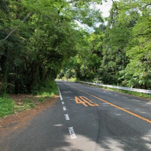 静岡市日本平パークウェイの風景