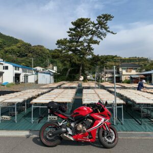 ビーチタウン静岡付近のしらす干し風景with CBR650R