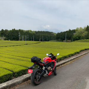 美しい茶畑の大淵笹場にて雲隠れの富士山とCBR650R②