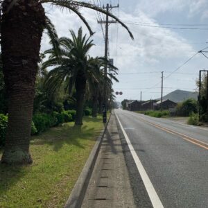 道端に椰子の木が続くR42にてwith CBR650R②