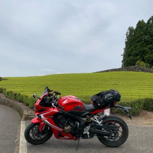 美しい茶畑の大淵笹場にて雲隠れの富士山とCBR650R③