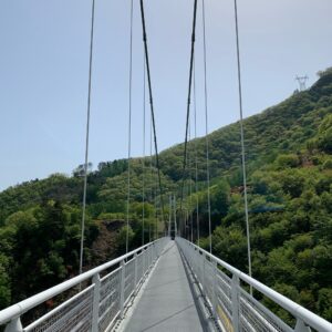 上野スカイブリッジのお散歩