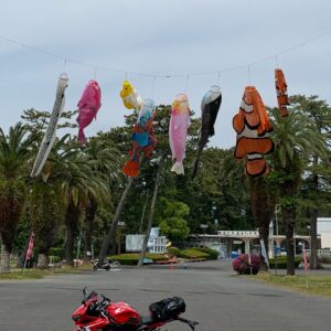 東海大学海洋科学博物館の可愛らしい鯉?のぼりたちとCBR650R