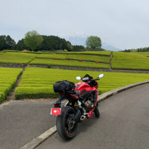 美しい茶畑の大淵笹場にて雲隠れの富士山とCBR650R