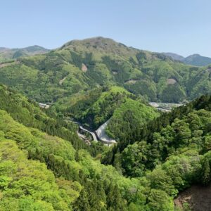 上野スカイブリッジのお散歩③