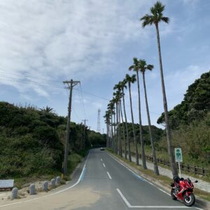 ロングビーチ伊良湖の海にまっしぐらに下りていく爽快椰子の木ロードにて下まで降りてしまったCBR650R