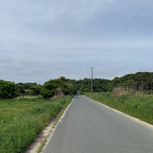 マイナーながら大きな海と空が広がる小島町海岸に続く小道にて
