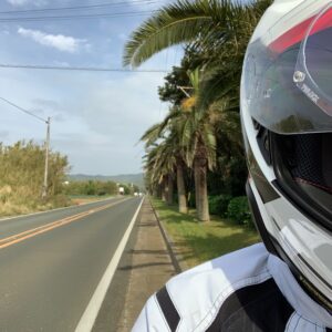 道端に椰子の木が続くR42にてwith CBR650R