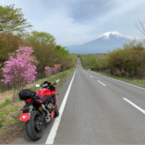 富士山へ真っすぐ続く朝霧自然公園に向かうロードにてwith CBR650R