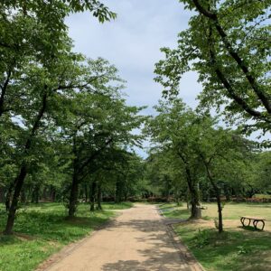 上越市・高田城址公園内の風景