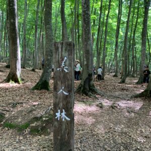 美人な林「美人林」にて②