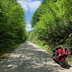 緑がまぶしい～！野麦カエデ街道のロード風景