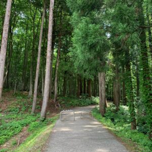 美人な林「美人林」にて