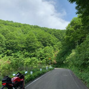 光ヶ原高原の深緑モコモコな風景とCBR650R