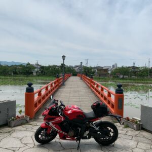 高田城址を囲む蓮の池に架かる赤い橋にてwith CBR650R